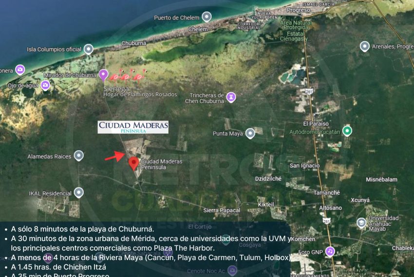 EDICIONES CIUDAD MADERAS impresiones (3)