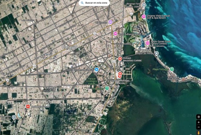 WhatsApp Image 2024-11-20 at 5.00.17 PM