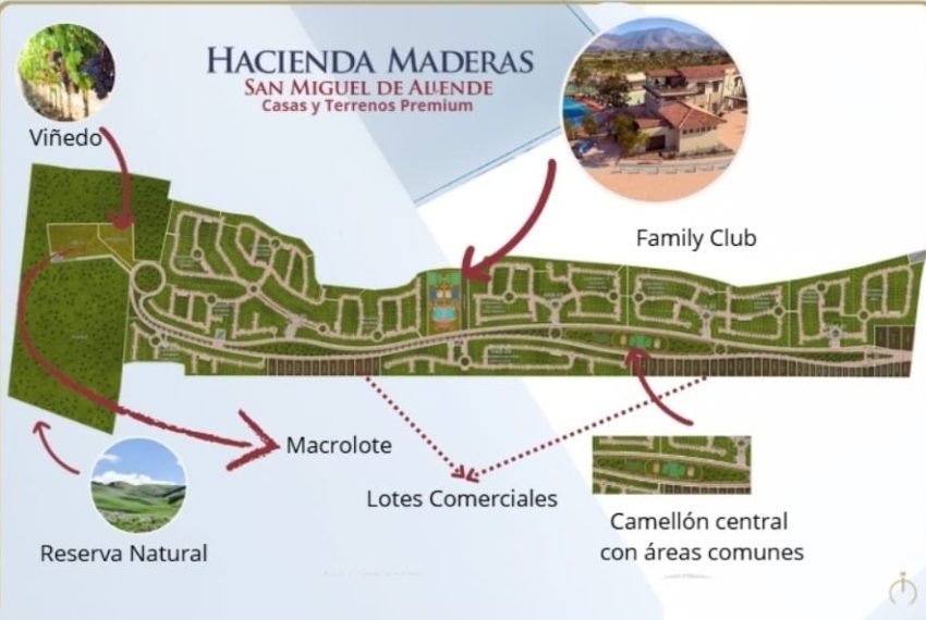 WhatsApp Image 2025-07-20 at 1.02.28 PM