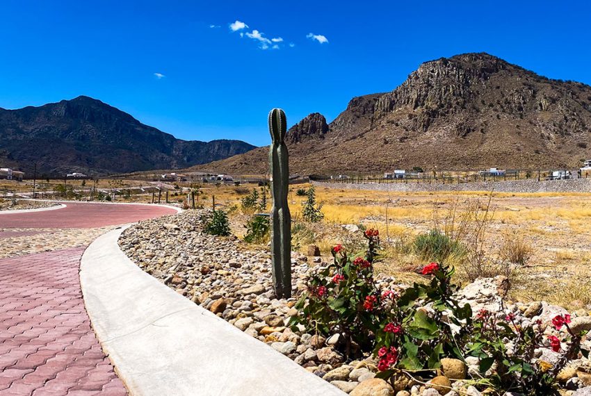 VIALIDAD-SAN-LUIS-POTOSI