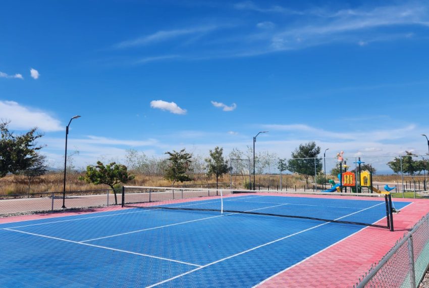 WhatsApp Image 2025-01-03 at 11.52.43 AM