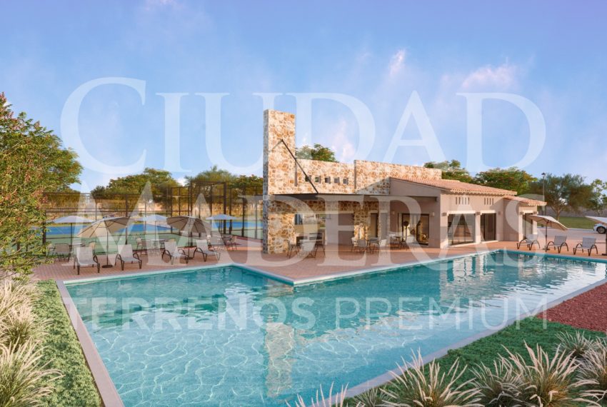 WhatsApp Image 2025-01-21 at 3.12.07 PM (1)