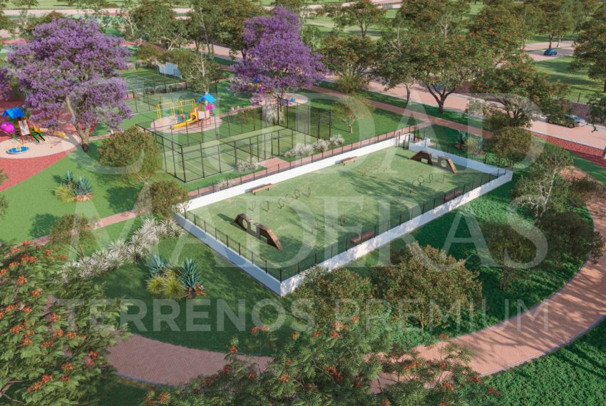 WhatsApp Image 2025-01-21 at 3.12.07 PM (2)