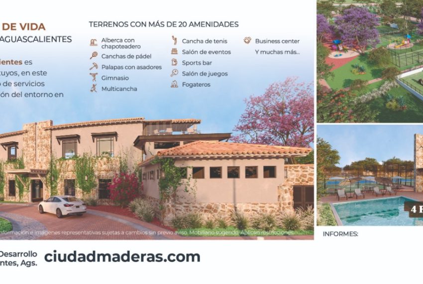 WhatsApp Image 2025-01-21 at 3.13.18 PM (1)